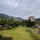 펫더가든 | 홍천 소노펫 비발디파크 플레이그라운드 산책과 사우나 bbq셀프가든 후기
