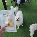 레인바우 이미지