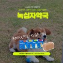 잠실새내365약국 네이버블로그