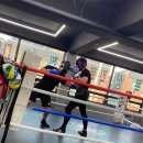 여주 k 복싱 크로스핏 이미지