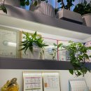 화이트피부관리실 | 오목교 마사지샵 힐링피부관리실 마사지 솔직후기 10점 만점에 100점