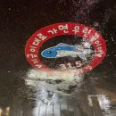 삼십일점오(31.5) 이미지