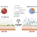 좋은미생물 이미지