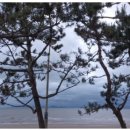 세븐일레븐 고창동호해변점 이미지