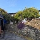 바다추억 | 제주 서귀포 '카페 서연의 집' 돌고래 발견은 실패했지만, 추억의 영화와 함께 바다 실컷 보고 온 후기