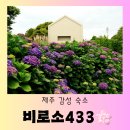 비로소433 | (제주 여행) 제주 아름다운 감성 숙소 &#34;비로소433&#34; 편안한 방문 후기