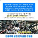 용덕주유소 이미지