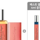 코롱코롱 이미지