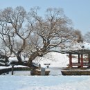 (출발확정)12/20(토) 홍성 소읍기행과 천북굴구이 이미지