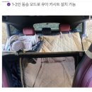 메가주 일산 펫페어 직접보고 구매한 퍼플앤코 대형견 카시트 내돈내산 솔직후기