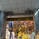 NEAT(니트)헤어