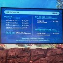 산대로 | 코엑스 아쿠아리움 [씨라이프(sea life)] 주말에 다녀온 후기