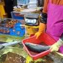 청담-137 이미지