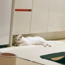 (주)텐데이즈 네이버블로그