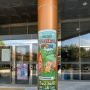 달성문화원공연장 | 달성문화원-아기돼지 삼형제 공연 후기