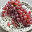 초산작은도서관 | 단 하루도 / 10주차~14주차 초기 정밀검사 초음파, 1차 기형아 검사, 제주도혼여행, 고마운 동숲친구들