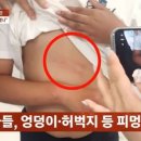 충남2태권도장 이미지