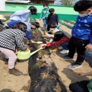 소요초등학교 이미지