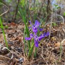 성자골2 이미지