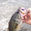 광신대교 이미지