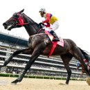 부경목장 이미지