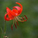 좋은인연 이미지