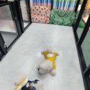 오백샵 이미지