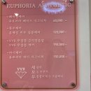유포리아 에스테틱 이미지