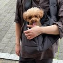 10월펜션 | 10월 일상_추석연휴 청주편 (달천펜션 102동 후기 포함)