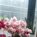 중로(보)2-2-2 이미지