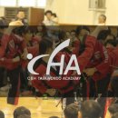 CHA태권도2 이미지