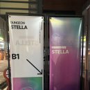 안의탕 | [ N잡러의 방탈후기 ] 비트포비아 던전스텔라(강남) 티엔탕시티 후기