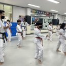 단국대 본태권도 이미지