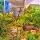 한반도습지생태문화관 이미지