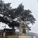 씨유태종대점 네이버블로그