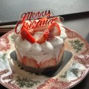 통영생태숲(입구) | 통영 카페 추천] 140 갤러리 카페 후기/ 도천동 크리스마스 분위기 카페 추천/ 통영 디저트 맛집...