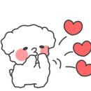 영애견 - 강서구 곰달래로 199 | 영애견