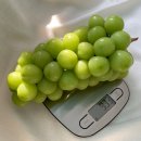 프리미엄농장 이미지