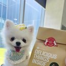 스튜디오배 이미지