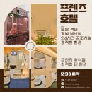 도그 프렌즈 이미지