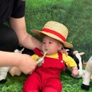 도현목장 이미지