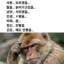 치킨아이(승주점) | 그래도 놀고싶어