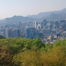 남산인2 이미지