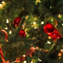 해미인치과교정과치과의원 이미지