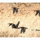 청도천2 이미지