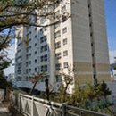 하단동117 이미지