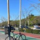 바다나루 이미지