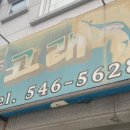 돌고래양분식 네이버블로그