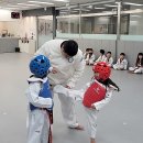 국가대표 한빛태권도 이미지