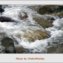 진부리유원지 이미지